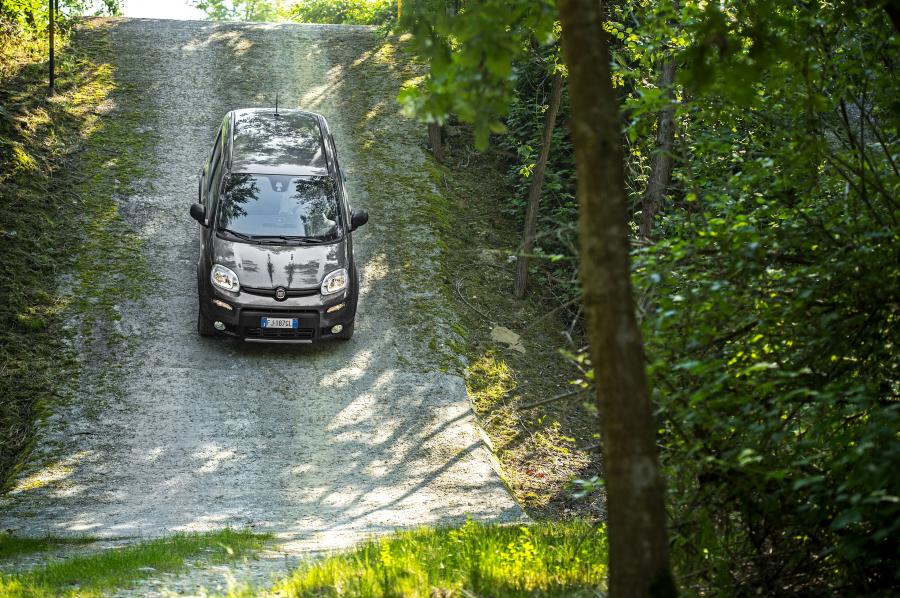  Fiat Panda 4x4 2017 года  (фото 11 из 26)